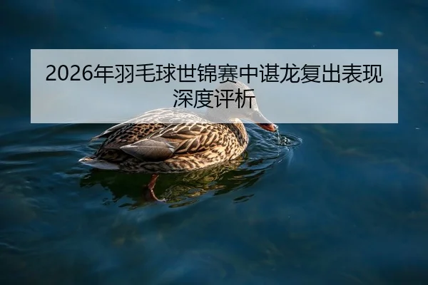 2026年羽毛球世锦赛中谌龙复出表现深度评析