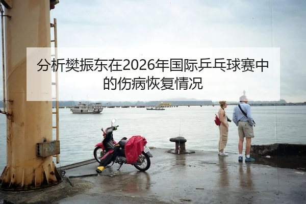 分析樊振东在2026年国际乒乓球赛中的伤病恢复情况