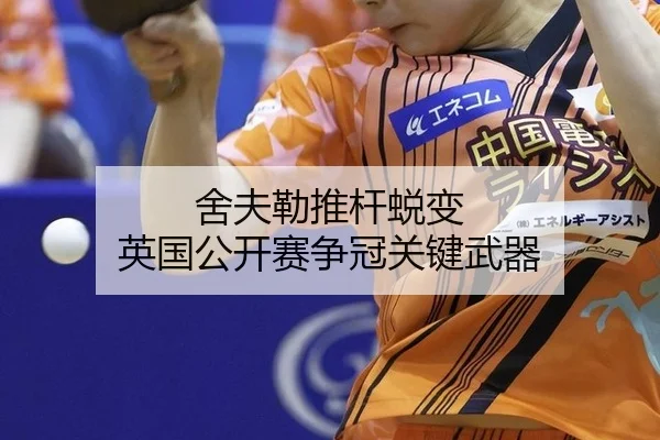 she-fu-lei-tui-gan-tui-bian-ying-guo-gong-kai-sai-zheng-guan-guan-jian-wu-qi-2-568.jpg