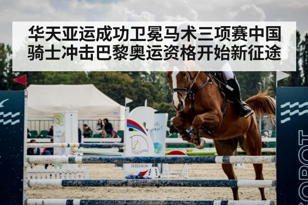 horse show jumping